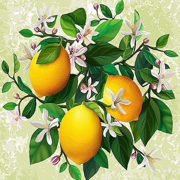 full square/round diamond 5d diy diamond painting lemon flower embroidery cross stitch rhinestone mosaic home decor
full square/round diamond 5d diy diamond painting lemon flower embroidery cross stitch rhinestone mosaic home decor