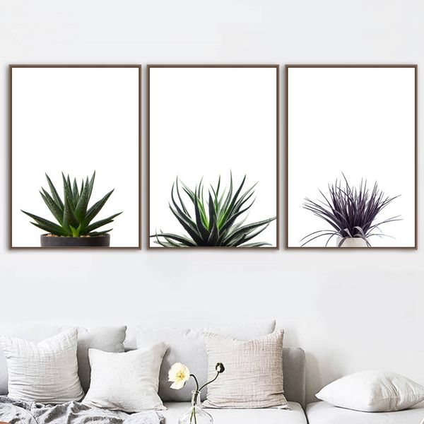 agave aloe succulents plant wall art canvas painting nordic posters and prints wall pictures for living room home decor
agave aloe succulents plant wall art canvas painting nordic posters and prints wall pictures for living room home decor