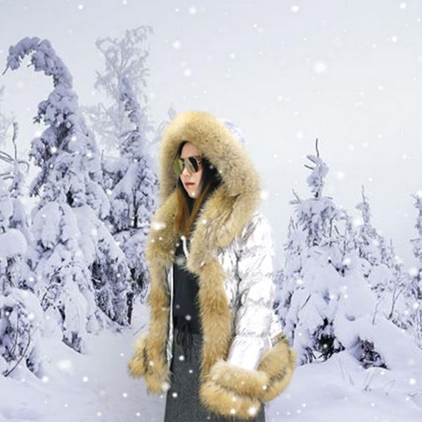 new winter women big collar silver puffer jacket/ popular natural raccoon fur down coat, Black
new winter women big collar silver puffer jacket/ popular natural raccoon fur down coat, Black