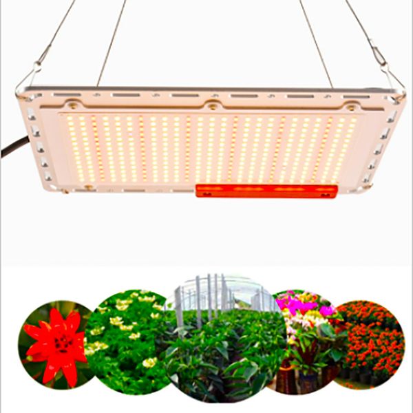 2020 shenzhen wenyi factory led boards 110w 220w full spectrum 660nm 3500k led grow light for plants
2020 shenzhen wenyi factory led boards 110w 220w full spectrum 660nm 3500k led grow light for plants