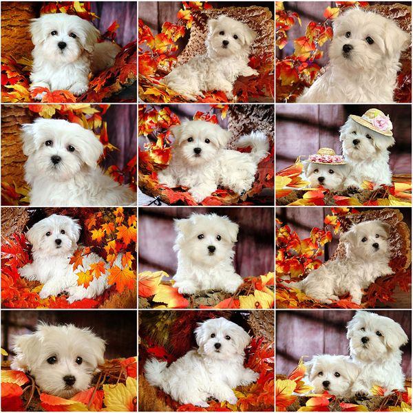 evershine diamond painting dog cross stitch full square round diamond embroidery sale animal rhinestones pictures crafts kit
evershine diamond painting dog cross stitch full square round diamond embroidery sale animal rhinestones pictures crafts kit