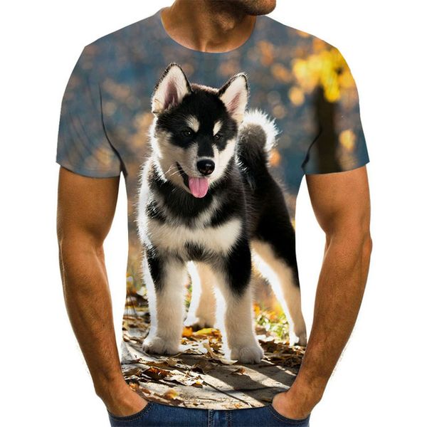 personality creative animal pattern 3dt-shirts 3d print shirts plus size horror plus size men clothing
personality creative animal pattern 3dt-shirts 3d print shirts plus size horror plus size men clothing