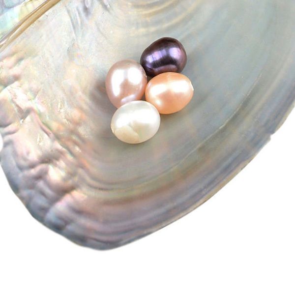 charms est oysters real pearl gift individually wrapped vacuum package 7-8mm jewelry shell trendy freshwater natural color random, Bronze;silver
charms est oysters real pearl gift individually wrapped vacuum package 7-8mm jewelry shell trendy freshwater natural color random, Bronze;silver