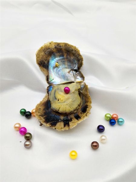 akoya pearl oyster рулонные 6-7мм цвета морской воды, природные saltwater oyster pearl цветные перламутровые шарики в устриц с вакуумной упа, White
akoya pearl oyster рулонные 6-7мм цвета морской воды, природные saltwater oyster pearl цветные перламутровые шарики в устриц с вакуумной упа, White