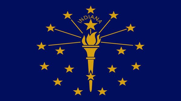 wholesale factory price 100% polyester 90x150cm 3x5 fts state of indiana flag for decoration
wholesale factory price 100% polyester 90x150cm 3x5 fts state of indiana flag for decoration