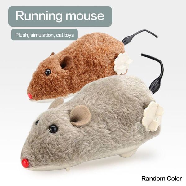 pet механического интерактивной весна питание игра rat игрушка новых движения плюшевые игрушки заводной играя игрушки смешного cat dog mouse
pet механического интерактивной весна питание игра rat игрушка новых движения плюшевые игрушки заводной играя игрушки смешного cat dog mouse