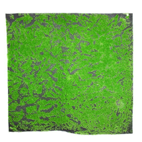 1mx1m square artificial plant lawn home simulation plant background wall moss turf green sod interior window decoration
1mx1m square artificial plant lawn home simulation plant background wall moss turf green sod interior window decoration