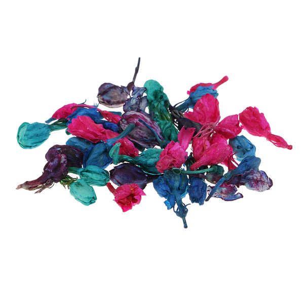 30pcs dried pressed flowers real jasmine flower petals for diy crafts soap pillows wedding confetti diy handcraft art gifts
30pcs dried pressed flowers real jasmine flower petals for diy crafts soap pillows wedding confetti diy handcraft art gifts