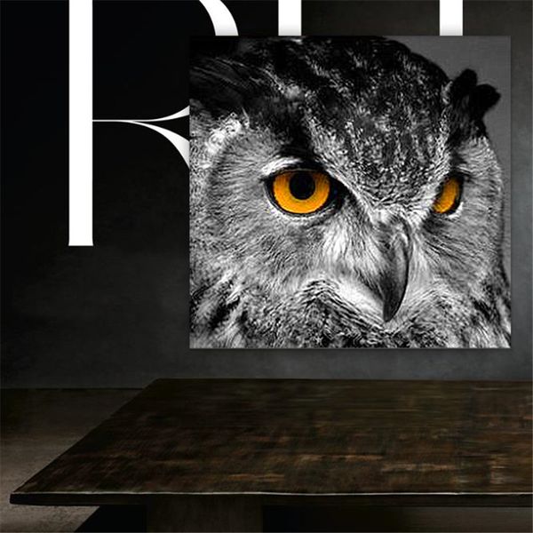 fashion canvas painting animal wall art owl bird posters and prints wall pictures for living room modern decoration home decor
fashion canvas painting animal wall art owl bird posters and prints wall pictures for living room modern decoration home decor