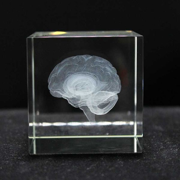 decorative objects & figurines antique crystal 3d brain model laser engraving sculpture home decoration
decorative objects & figurines antique crystal 3d brain model laser engraving sculpture home decoration