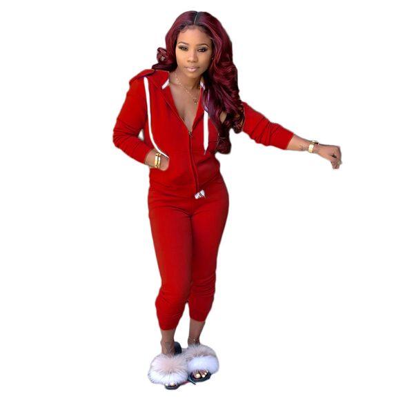 women two pieces pants long sleeve hooded zipper cardigan trousers outfits solid color ladies sportswear street clothes autumn, White
women two pieces pants long sleeve hooded zipper cardigan trousers outfits solid color ladies sportswear street clothes autumn, White
