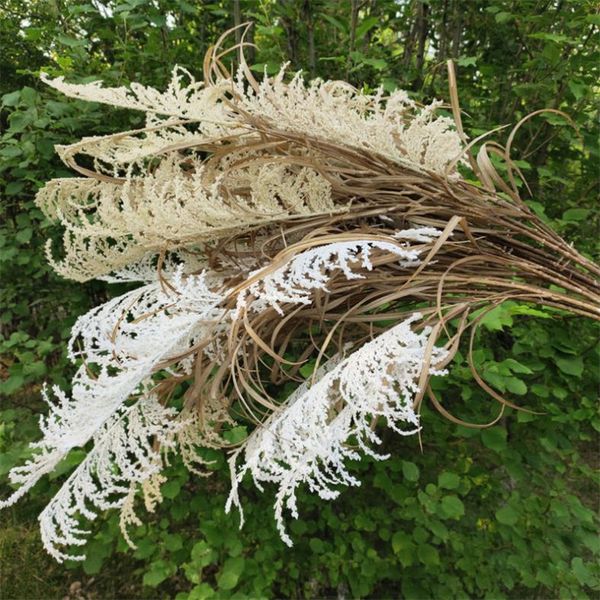 7pcs fake long stem snow reed (3 stems/bunch) 46.1" length simulation autumn reeds for wedding home decorative artificial plants
7pcs fake long stem snow reed (3 stems/bunch) 46.1" length simulation autumn reeds for wedding home decorative artificial plants