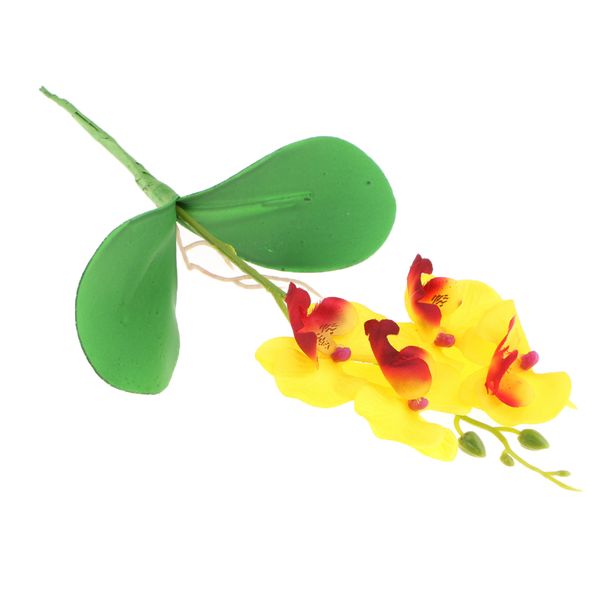 floral decor artificial phaleanopsis 4 heads silk orchid flowers arrangement home decorative diy flower vase
floral decor artificial phaleanopsis 4 heads silk orchid flowers arrangement home decorative diy flower vase
