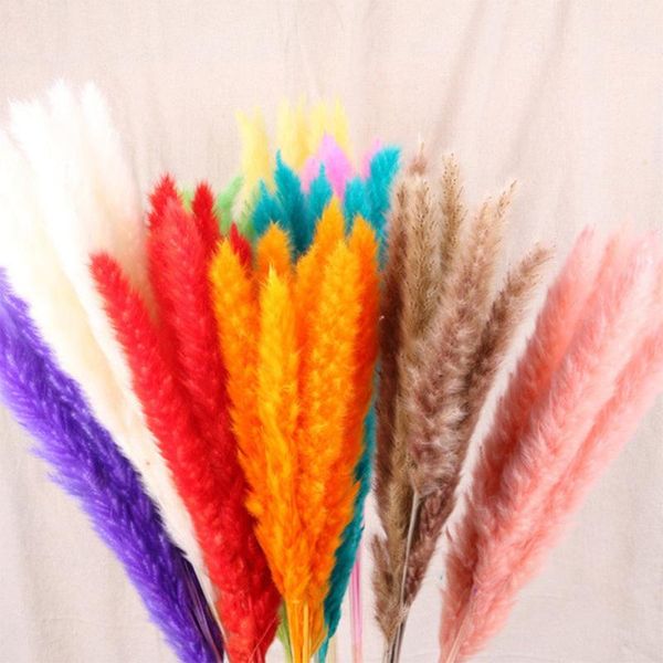 7pcs bulrush natural dried flowers small pampas grass phragmites artificial plants diy fake flower bunch wedding home decoration
7pcs bulrush natural dried flowers small pampas grass phragmites artificial plants diy fake flower bunch wedding home decoration