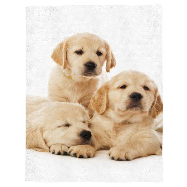 animal dog pet cute spring and autumn soft flannel blanket office siesta blanket sofa bed
animal dog pet cute spring and autumn soft flannel blanket office siesta blanket sofa bed