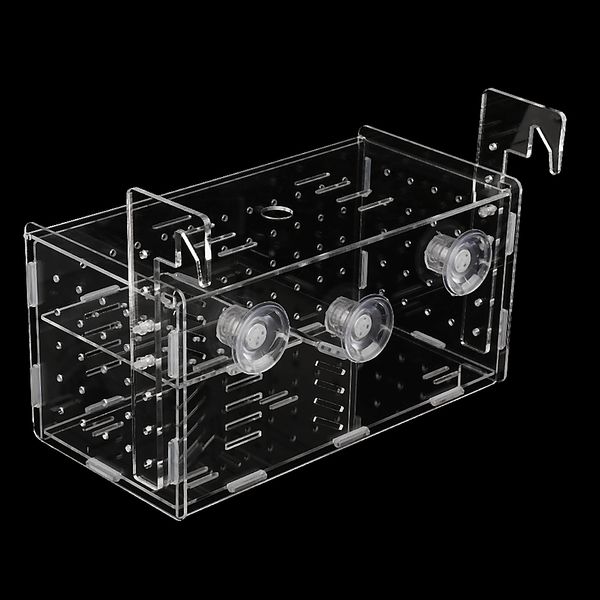 acrylic multifunctional transparent fish tank breeding double guppies isolation box tank
acrylic multifunctional transparent fish tank breeding double guppies isolation box tank