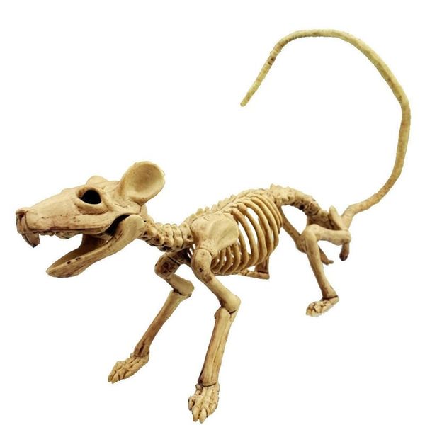 halloween decorations skeleton props crow skeleton halloween props cne fast shipping factory direct sale
halloween decorations skeleton props crow skeleton halloween props cne fast shipping factory direct sale