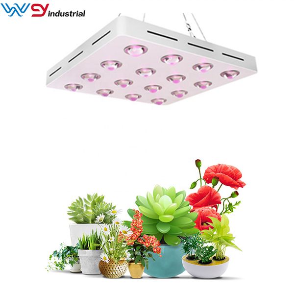 shenzhen wenyi factory wholeale new product full spectrum 1600w cob grow light for greenhouse hydroponic led grow light with good price yan
shenzhen wenyi factory wholeale new product full spectrum 1600w cob grow light for greenhouse hydroponic led grow light with good price yan