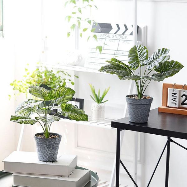 decorative flowers & wreaths nordic simulation bonsai potted plants fake home decorations living room indoor deskdecor fzpj009
decorative flowers & wreaths nordic simulation bonsai potted plants fake home decorations living room indoor deskdecor fzpj009