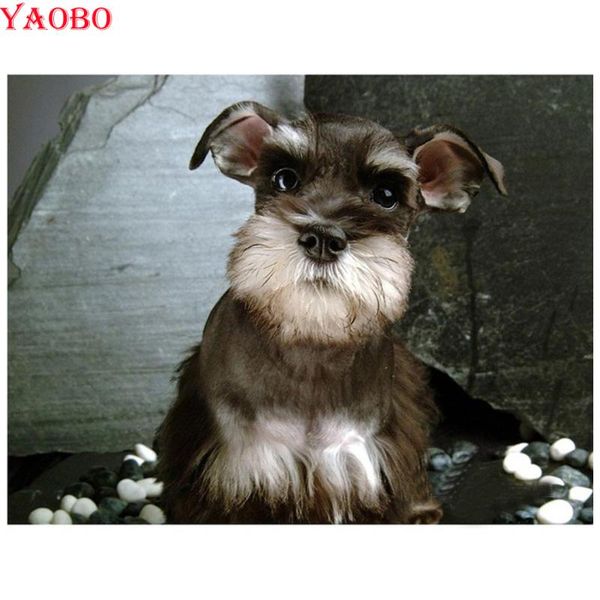 paintings 5d full square rhinestone embroidery diamond painting schnauzer dogs pet home decoration mosaic by numbers
paintings 5d full square rhinestone embroidery diamond painting schnauzer dogs pet home decoration mosaic by numbers
