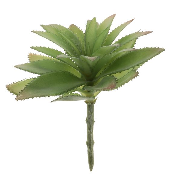 mini artificial succulents agave plants plastic flower succulent for garden home office micro landscape decoration
mini artificial succulents agave plants plastic flower succulent for garden home office micro landscape decoration