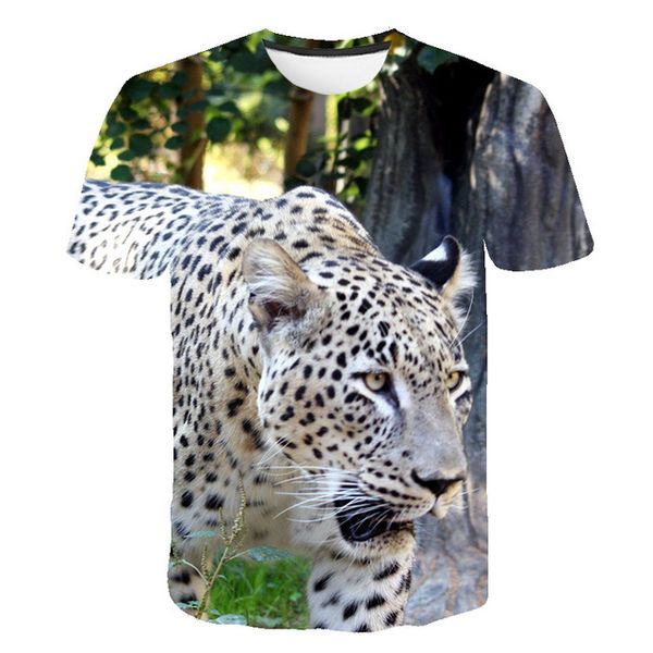 animal fiercely tiger o collar dizziness 3d print shirts harajuku graphic graphic men clothing
animal fiercely tiger o collar dizziness 3d print shirts harajuku graphic graphic men clothing