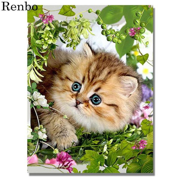 diy 5d diamond painting cute cat diamond mosaic full square/round drill needlework rhinestones embroidery wall sticker decor
diy 5d diamond painting cute cat diamond mosaic full square/round drill needlework rhinestones embroidery wall sticker decor