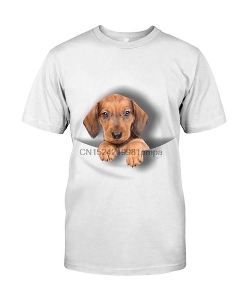 men t shirt dachshund(308) women tshirts 
men t shirt dachshund(308) women tshirts
