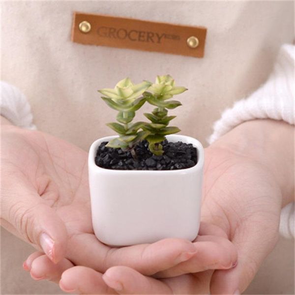simple design white creative flowerpot mini succulent plants ceramics pot home decoration table balcony pots sold well 1 1zlh1
simple design white creative flowerpot mini succulent plants ceramics pot home decoration table balcony pots sold well 1 1zlh1