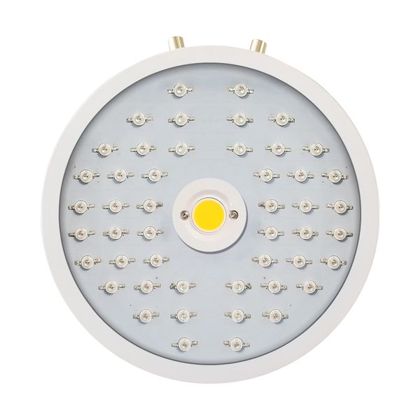 2019 горячий продавать wy professional 150w ufo водить растения растут огни полный спектр grow бордовый для внутреннего парникового палатки
2019 горячий продавать wy professional 150w ufo водить растения растут огни полный спектр grow бордовый для внутреннего парникового палатки