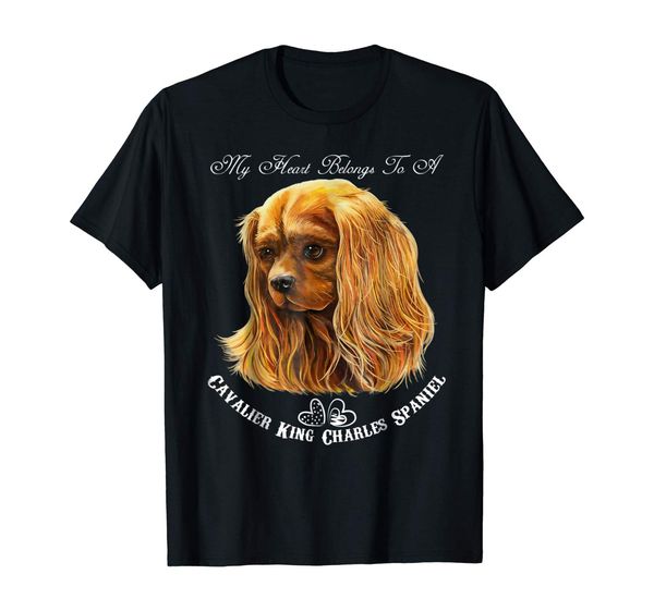 cavalier king charles spaniel ruby t-shirt 
cavalier king charles spaniel ruby t-shirt