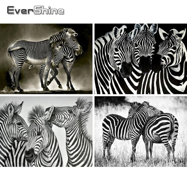 paintings evershine diamond painting zebra cross stitch mosaic embroidery animals rhinestone picture black white diy hobby home decoration
paintings evershine diamond painting zebra cross stitch mosaic embroidery animals rhinestone picture black white diy hobby home decoration