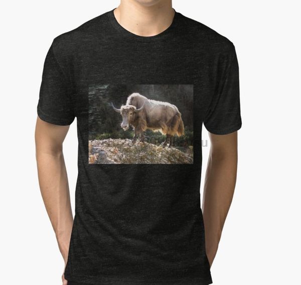 мужчины тенниски с короткой рукавом южных гималаев яка t shirt один шеи женщин футболки
мужчины тенниски с короткой рукавом южных гималаев яка t shirt один шеи женщин футболки