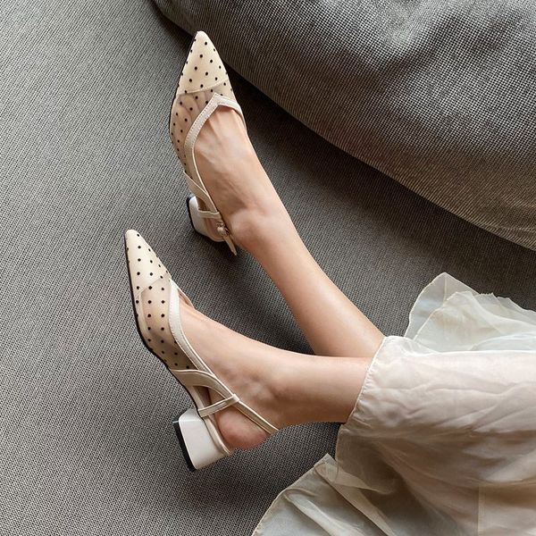 agodor 2020 new fashion women polka dot pumps slingback pointed toe mesh sedign elegant ladies spring pumps size 33-43, Black
agodor 2020 new fashion women polka dot pumps slingback pointed toe mesh sedign elegant ladies spring pumps size 33-43, Black