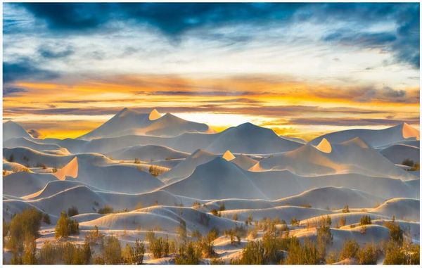 3d wallpaper custom p mural on the wall desert sunrise golden sky home decor living room wallpaper for walls 3 d in the roll
3d wallpaper custom p mural on the wall desert sunrise golden sky home decor living room wallpaper for walls 3 d in the roll