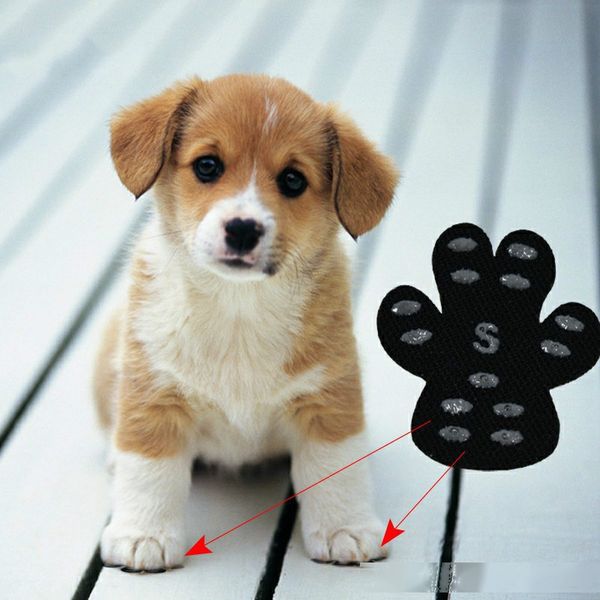 beach foot patch for pet dog non-slip silicone foot sticker protector anti-dirty insole dog anti-skid shoes mats pads 2020 creative
beach foot patch for pet dog non-slip silicone foot sticker protector anti-dirty insole dog anti-skid shoes mats pads 2020 creative