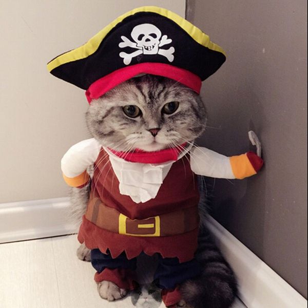 cat costumes funny pirate clothes for cats costume puppy outfit suit corsair dressing up small pet 40 p1
cat costumes funny pirate clothes for cats costume puppy outfit suit corsair dressing up small pet 40 p1