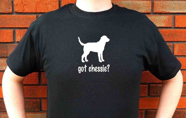 2019 new fashion short sleeve print tee shirts got chessie chesapeake bay retriever graphic t-shirt tee funny cute o-neck tee
2019 new fashion short sleeve print tee shirts got chessie chesapeake bay retriever graphic t-shirt tee funny cute o-neck tee
