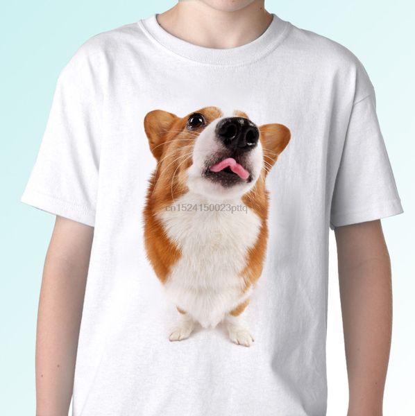 welsh corgi t shirt dog animal tee design mens womens kids baby sizes 
welsh corgi t shirt dog animal tee design mens womens kids baby sizes