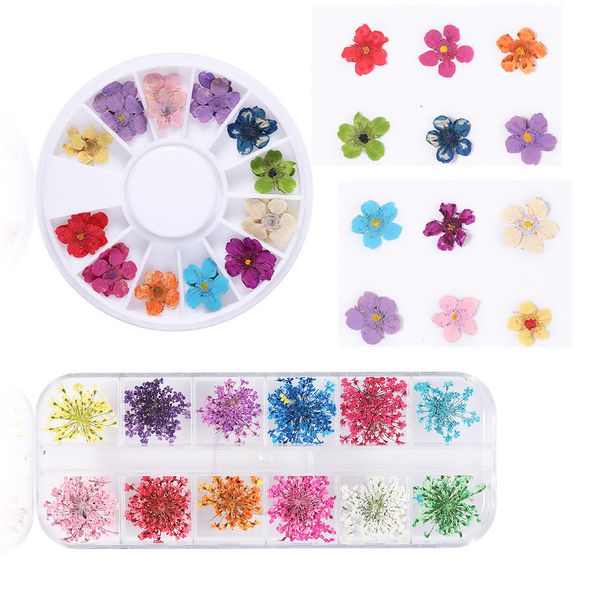 nail art decorations 1box 3d dry beauty decals dried flowers leaf decoration natural floral sticker jewelry uv gel polish manicure, Silver;gold
nail art decorations 1box 3d dry beauty decals dried flowers leaf decoration natural floral sticker jewelry uv gel polish manicure, Silver;gold