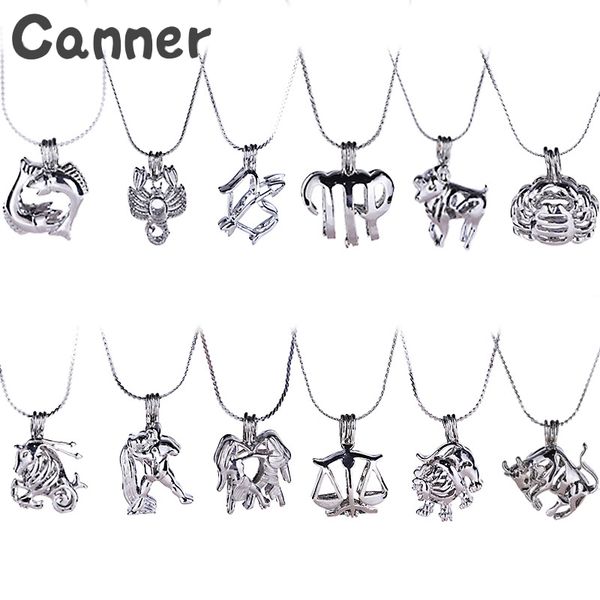 canner freshwater natural pearl constellation necklace oyster mussel collier chain necklace wish boxes jewelry gifts a50, Silver
canner freshwater natural pearl constellation necklace oyster mussel collier chain necklace wish boxes jewelry gifts a50, Silver