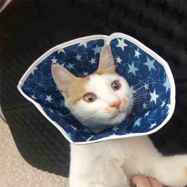 dog collars & leashes pet light elizabethan ring cat collar soft cloth waterproof and lick-proof protective remedy recovery
dog collars & leashes pet light elizabethan ring cat collar soft cloth waterproof and lick-proof protective remedy recovery