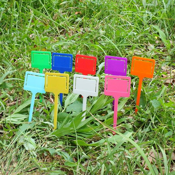 plant tags marker mini plastic labels classification card insertion tag garden simplicity colorful waterproof new arrival 0 25fy d2
plant tags marker mini plastic labels classification card insertion tag garden simplicity colorful waterproof new arrival 0 25fy d2
