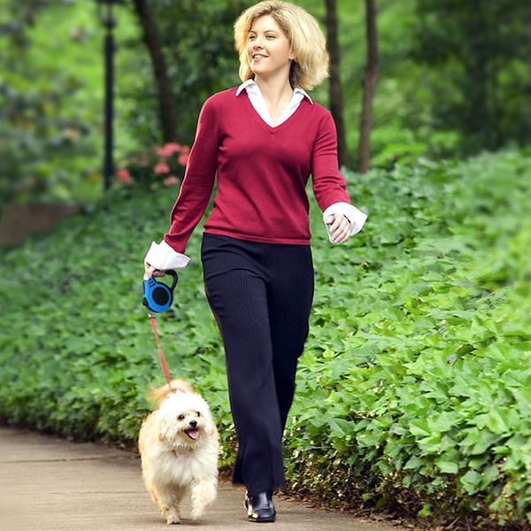 retractable dog leash automatic flexible leash dogs cat traction rope leashes for small medium dogs pet products
retractable dog leash automatic flexible leash dogs cat traction rope leashes for small medium dogs pet products