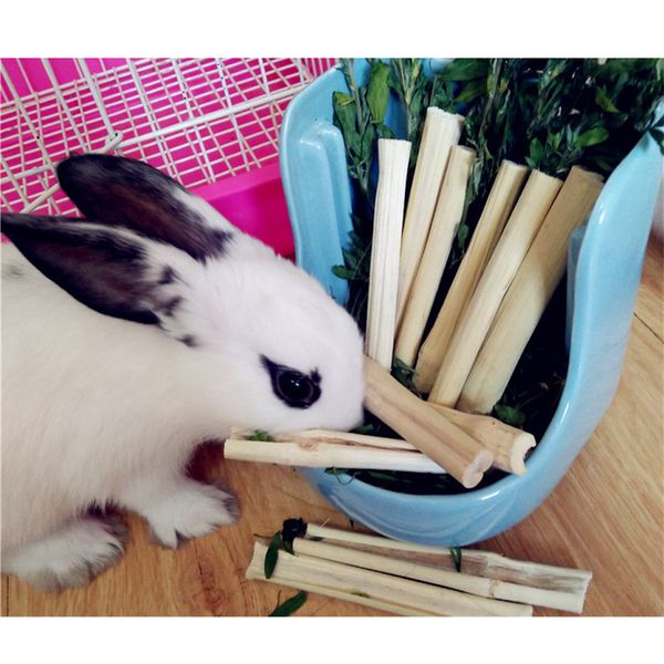 натуральный сладкий bamboos chew игрушки маленькие животные закуски для кролики hamster
натуральный сладкий bamboos chew игрушки маленькие животные закуски для кролики hamster