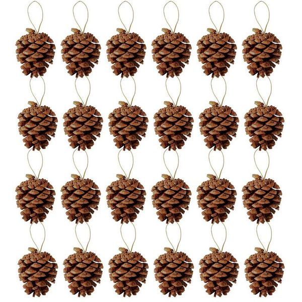 christmas decorations 24 pieces pine cones ornament natural pinecones with string pendant crafts for gift tag tree party hanging decoration
christmas decorations 24 pieces pine cones ornament natural pinecones with string pendant crafts for gift tag tree party hanging decoration
