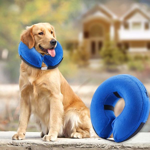 dog collars & leashes pet collar supplies elizabeth circle treatment inflatable swimming german shepherd
dog collars & leashes pet collar supplies elizabeth circle treatment inflatable swimming german shepherd