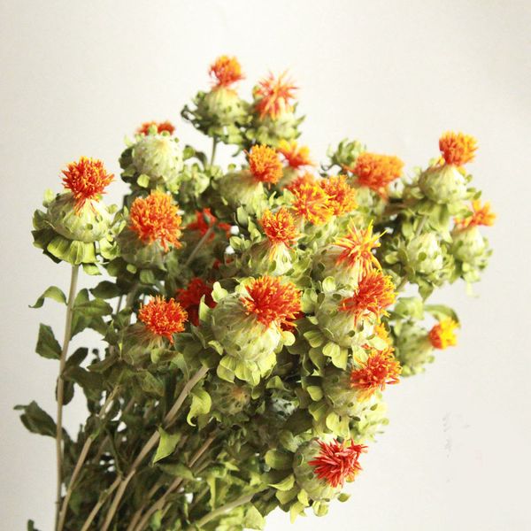 natural orange pineapple dried flower home wedding decorative flower arrangement materials diy gifts sachets
natural orange pineapple dried flower home wedding decorative flower arrangement materials diy gifts sachets