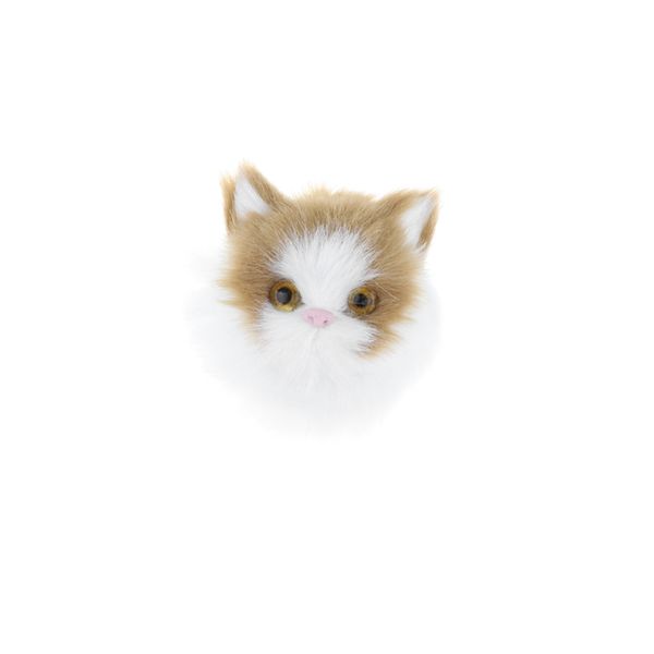 реалистичная small cat модель детские игрушки мобильный телефон shell diy вспомогательное оборудование поставка
реалистичная small cat модель детские игрушки мобильный телефон shell diy вспомогательное оборудование поставка