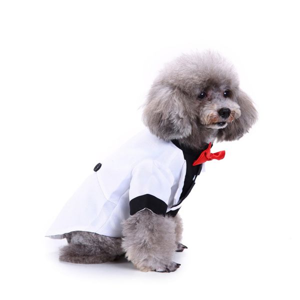 gentleman suit for dog with bowite, puppy special occasion formal shirt 
gentleman suit for dog with bowite, puppy special occasion formal shirt